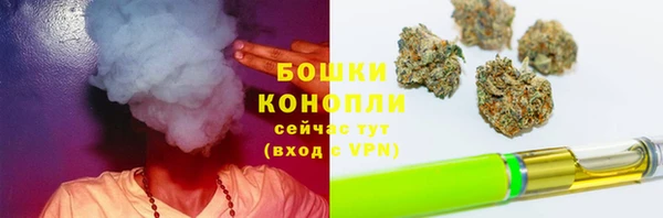 амф Белокуриха