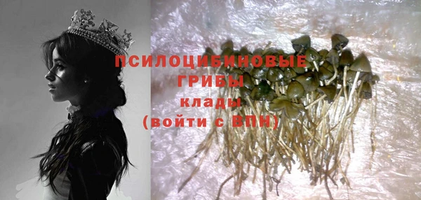 первитин Белоозёрский